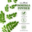 Kalaamb Moringa – Pure Hair Care - Deewal - Herbal Beauty and Health Products