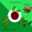 Deewal Tulsi Green Tea – Wellness - Deewal - Herbal Beauty and Health Products
