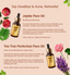 Deewal Face Oil Pack of 4 - Deewal - Herbal Beauty and Health Products