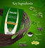 Deewal Khadi Nagarmotha Mehndi - Deewal - Herbal Beauty and Health Products