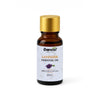 Lavender Oil – Natural Calm - Deewal - Herbal Beauty and Health Products