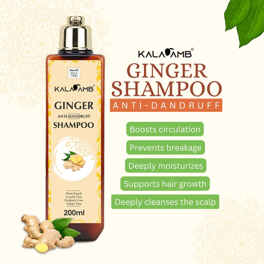 Kalaamb Ginger Shampoo – Dandruff Care - Deewal - Herbal Beauty and Health Products