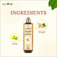 Kalaamb Ginger Shampoo – Dandruff Care - Deewal - Herbal Beauty and Health Products