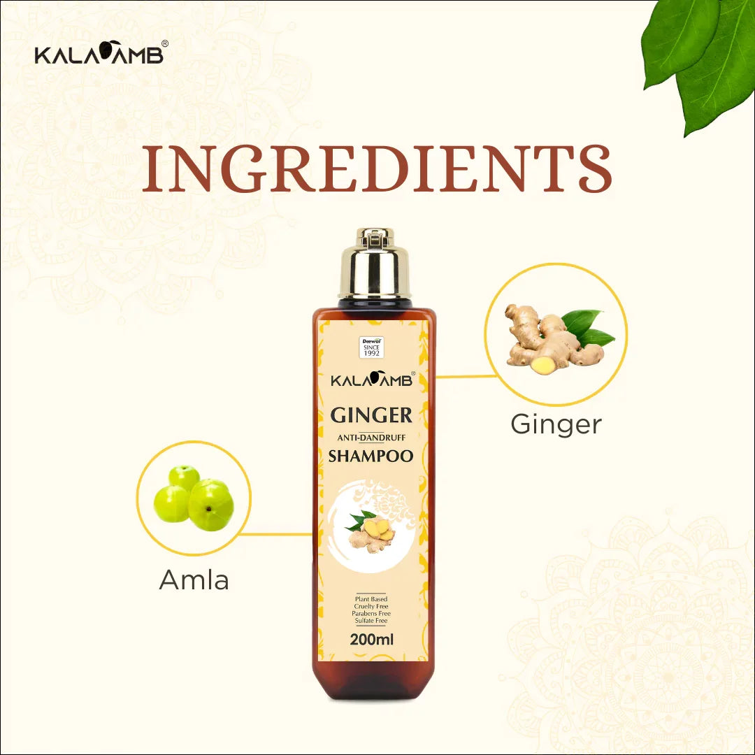 Kalaamb Ginger Shampoo – Dandruff Care - Deewal - Herbal Beauty and Health Products