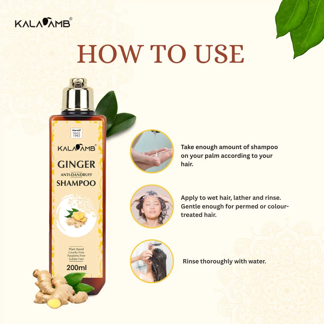 Kalaamb Ginger Shampoo – Dandruff Care - Deewal - Herbal Beauty and Health Products