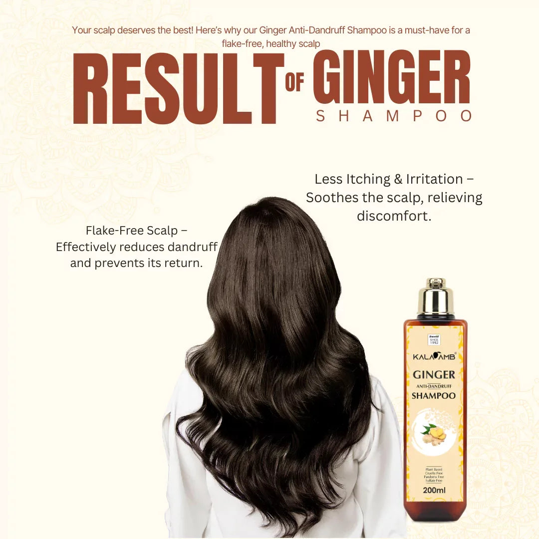Kalaamb Ginger Shampoo – Dandruff Care - Deewal - Herbal Beauty and Health Products