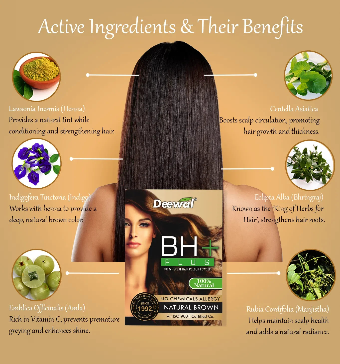 Deewal BH+ Brown Hair Color - Deewal - Herbal Beauty and Health Products