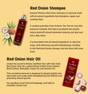 Kalaamb Onion Oil+Shampoo – Hair Care