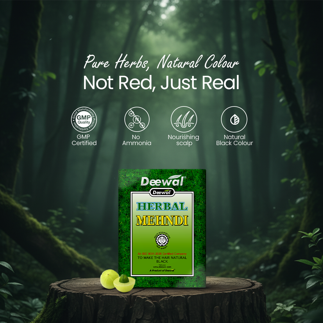 Deewal Herbal Black Hair Colour Mehndi