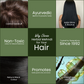 Deewal Herbal Black Hair Colour Mehndi