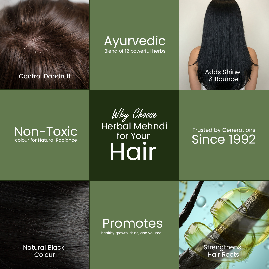 Deewal Herbal Black Hair Colour Mehndi