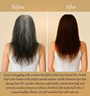 Deewal BH+ Brown Hair Color - Deewal - Herbal Beauty and Health Products