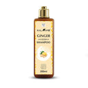 Kalaamb Ginger Shampoo – Dandruff Care - Deewal - Herbal Beauty and Health Products